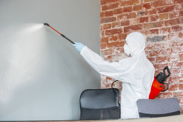 Best Post-Remediation Verification Testing  in Germantown, TN