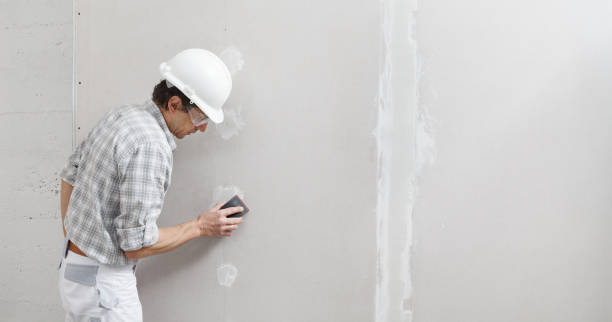 Best Mold Damage Restoration  in Germantown, TN