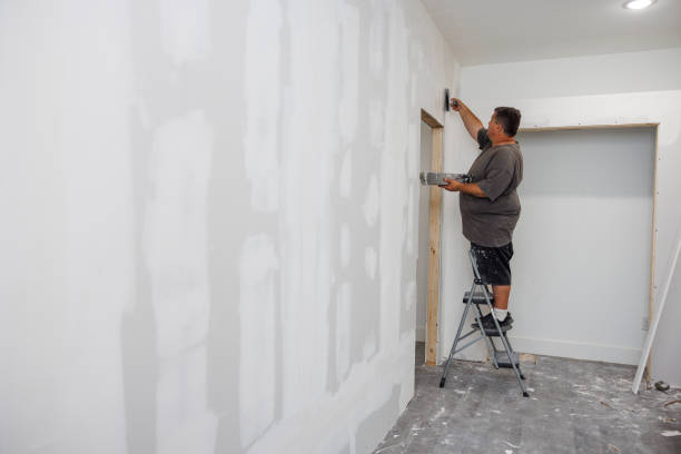 Best Industrial Mold Remediation  in Germantown, TN