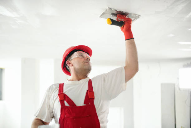 Best Mold Odor Removal Services  in Germantown, TN