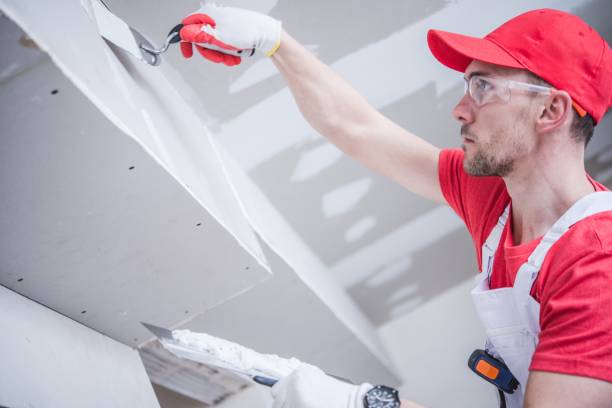 Best Asbestos and Lead Testing During Mold Inspection  in Germantown, TN